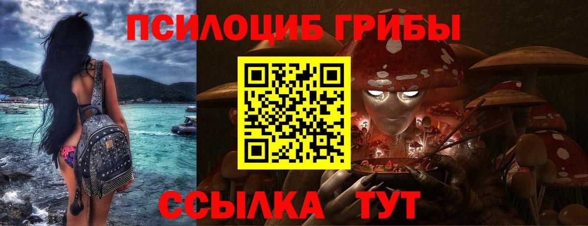 Галлюциногенные грибы прущие грибы  Вход с VPN  Лесозаводск 